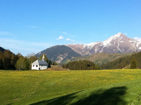 Spring, Day, Other, On site