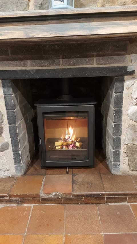 Cheerful 2 bedroom cottage with garden House in Dolgellau