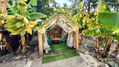 Patio, Garden, Garden view