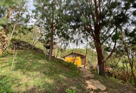 Casa de la Montaña Sagrada (Hospedaje Místico) Nature lodge in Cajamarca, Peru