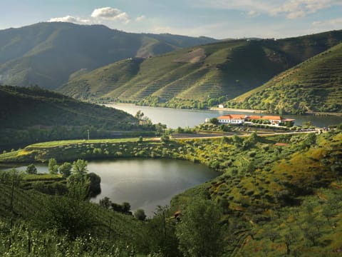 Property building, Mountain view, River view