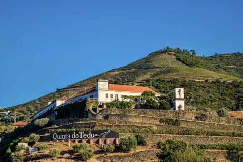 Property building, Natural landscape