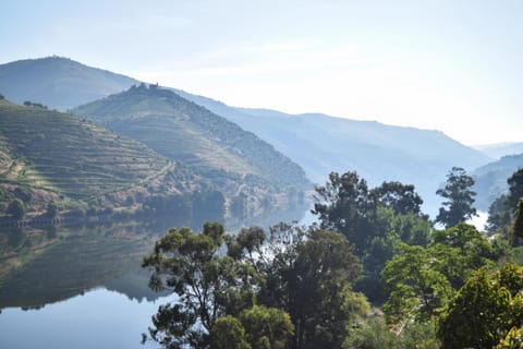 Natural landscape, Mountain view, River view