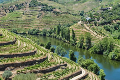 Natural landscape, Mountain view, River view