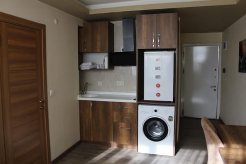 Kitchen or kitchenette, oven, washing machine