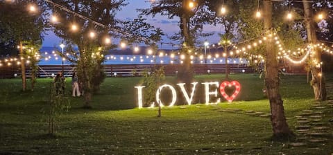 Night, Natural landscape, Garden, Garden view, Inner courtyard view