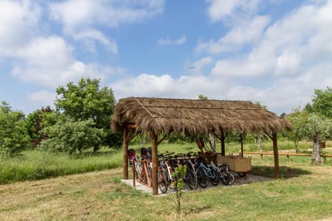 Cycling, Garden view, Entertainment