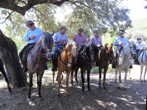 Horse-riding