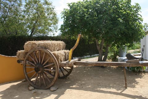 Hacienda los Majadales Country House in La Janda