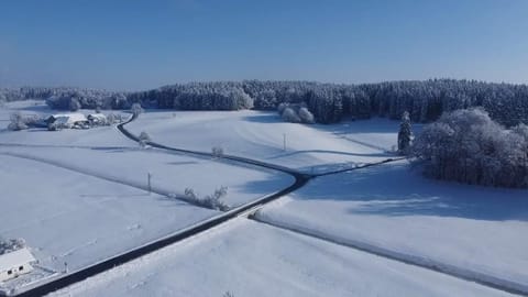 Day, Natural landscape, Winter