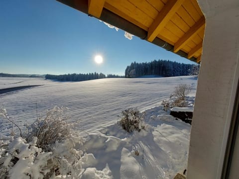 Day, Natural landscape, Winter