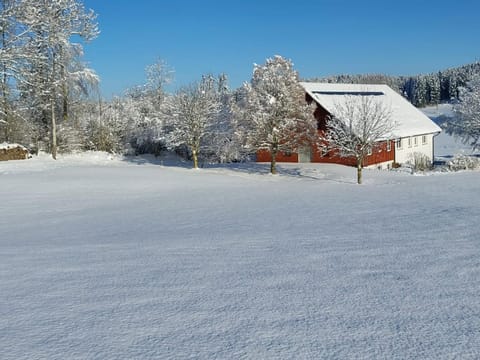 Day, Natural landscape, Winter