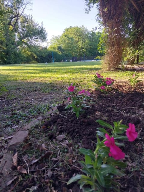 Day, Garden, Garden view