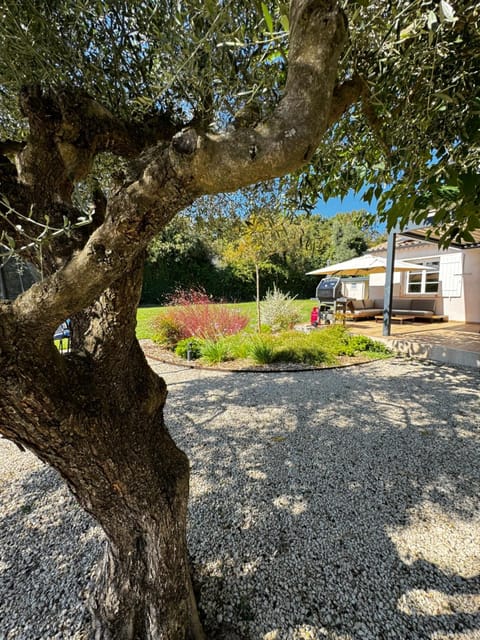 Property building, Spring, Day, Garden, Garden view