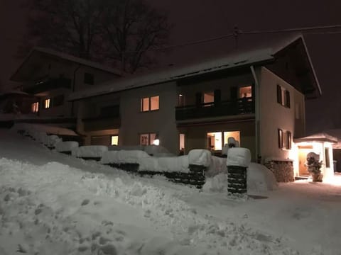 Property building, Night, Winter