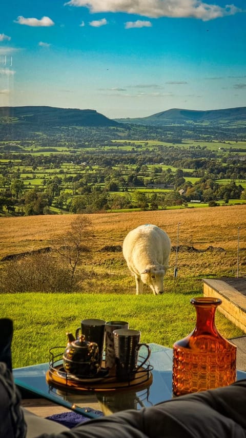 The Wellsprings Lodges and Restaurant Nature lodge in Ribble Valley District