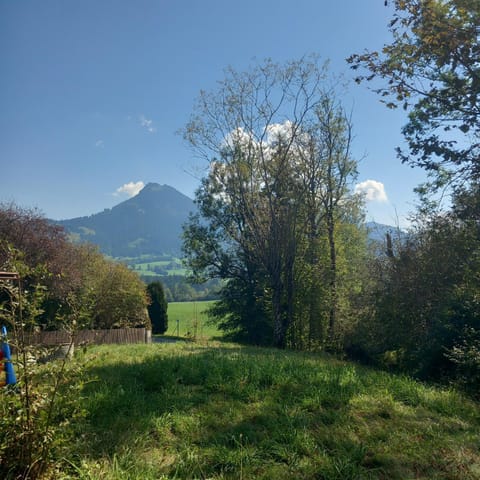 Natural landscape, Garden, Mountain view