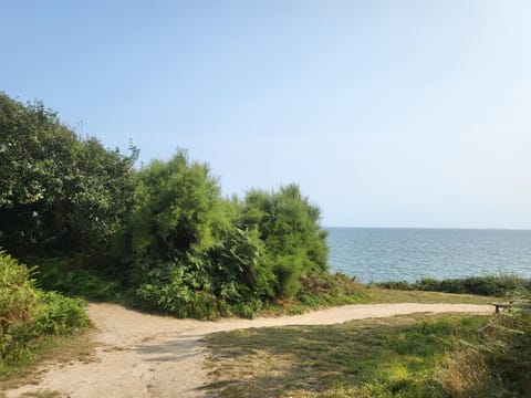 Plage des Dunes - Grand Studio ouvert avec 1 mezzanine et 1 alcôve Apartment in Fouesnant