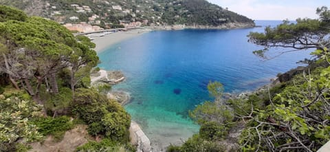 La Luna nel Borgo Bed and Breakfast in Province of Massa and Carrara