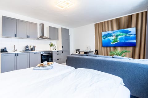 Bed, TV and multimedia, Kitchen or kitchenette, Living room, Photo of the whole room, Seating area, Bedroom, hair dresser, minibar