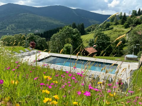 Natural landscape, Swimming pool