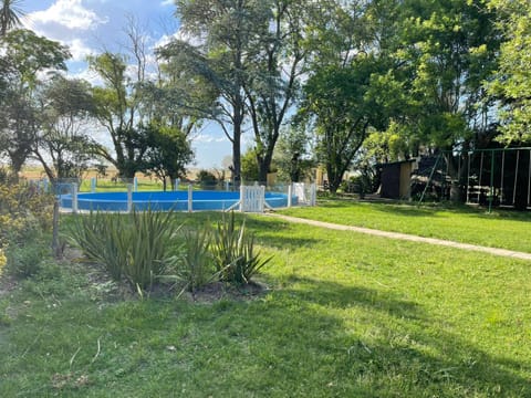 Spring, Day, Natural landscape, Garden, Garden view, Pool view, Swimming pool