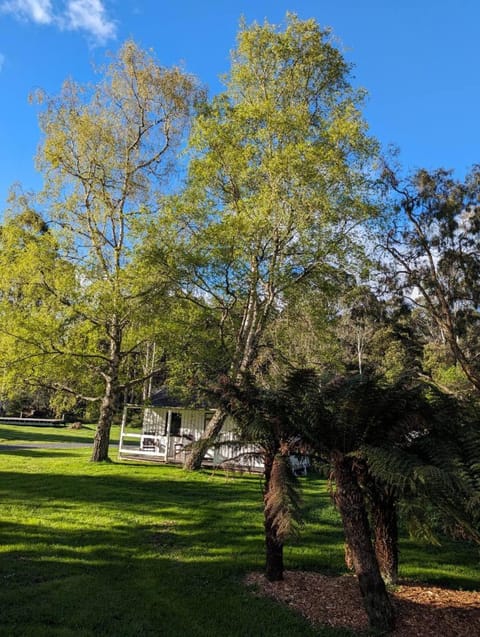 Weldborough Hotel Hotel in Tasmania