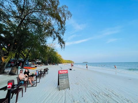 Beach, sunbed