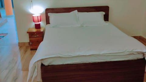The ROI Palace Bed and Breakfast in Noida