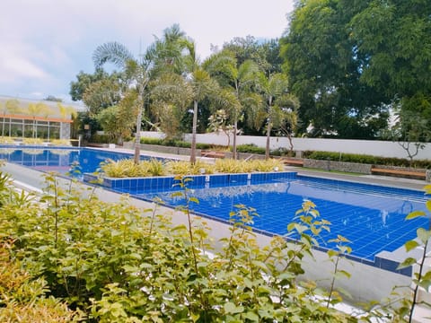 Garden, Swimming pool