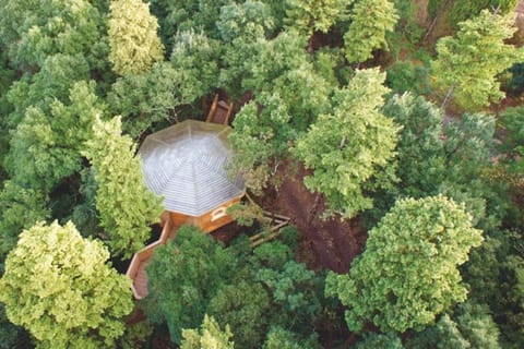 Les Cabanes Dans Les Bois Logis Hôtel Hotel in Carcassonne