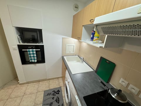 Kitchen or kitchenette, dishwasher, minibar, pet friendly, stove