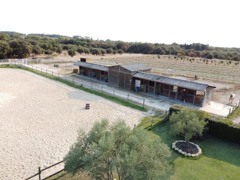 Gîte Pierre Blanche Apartment in Valréas