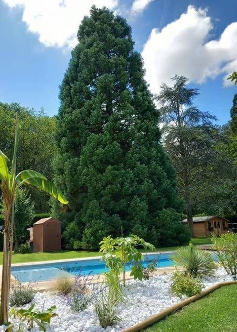 Gîte Les Séquoias avec piscine et sauna à 1h de Paris House in Normandy