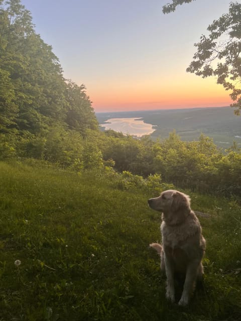 Nearby landmark, Day, Natural landscape, Pets, Lake view