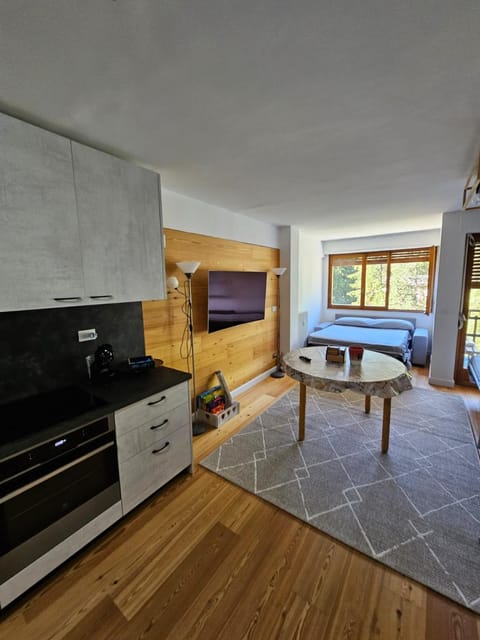 Bella vista Apartment in Limone Piemonte