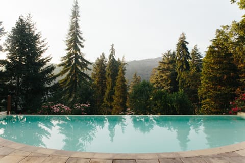 Garden view, Swimming pool, Swimming pool