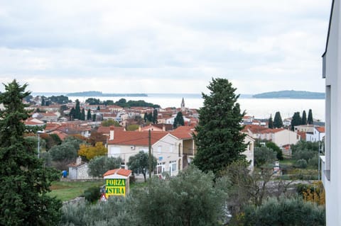 Villa Ellena Villa in Fažana