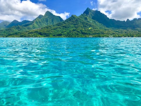 Fare Oaoa Haapiti Apartment hotel in Moorea-Maiao