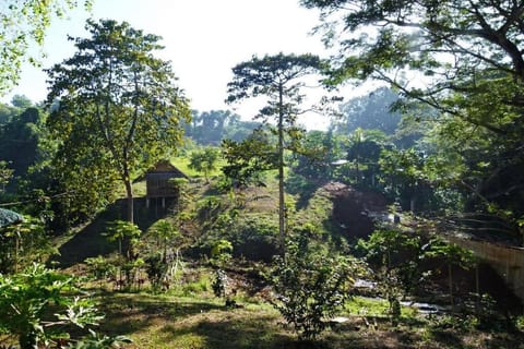 Sweet native Guesthouse in Paradise Garden House in Puerto Princesa