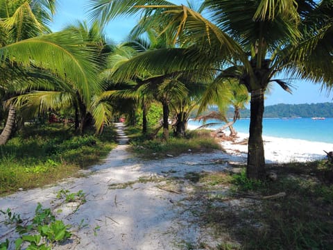 Koh Rong Lagoon Hostel in Sihanoukville