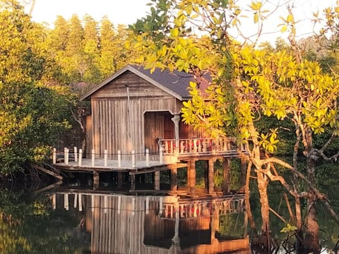 Property building, Lake view, River view