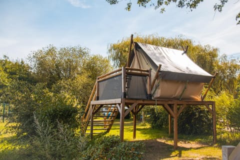 Natural landscape, Garden view