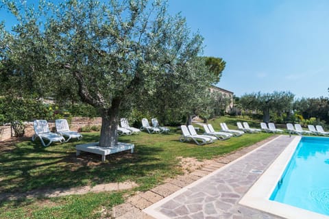 Garden, Pool view, Swimming pool