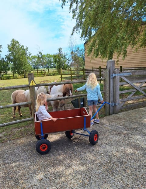 Children play ground, Animals