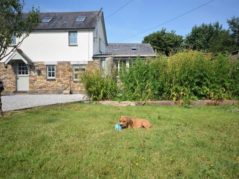 3 Bed in Newquay 82405 House in Saint Columb Major