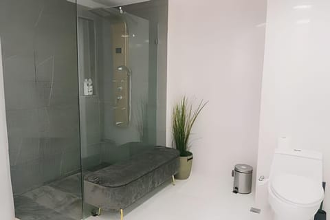 Shower, Toilet