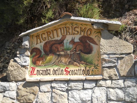 Decorative detail