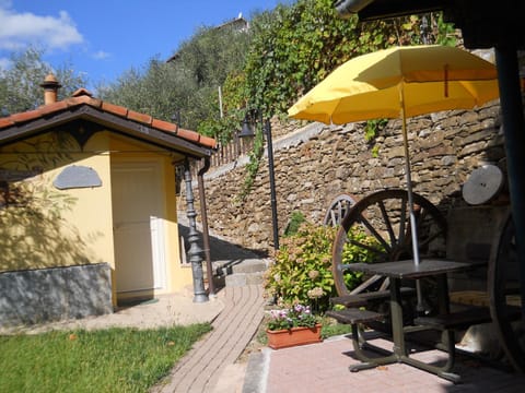 Summer, Other, Garden view