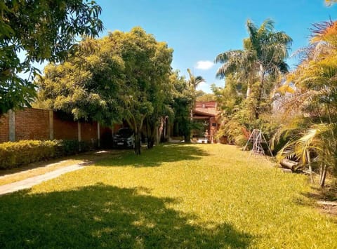 Patio, Garden view